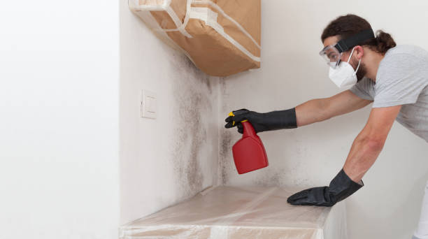 Professional Crawl Space Mold Remediation technician working in Goldendale, WA