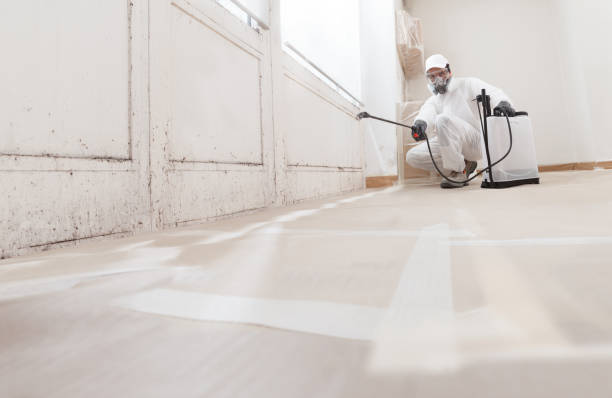 24/7 Emergency Crawl Space Mold Remediation experts in Goldendale, WA
