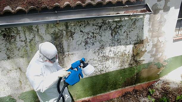 Top rated local Crawl Space Mold Remediation specialists in Goldendale, WA